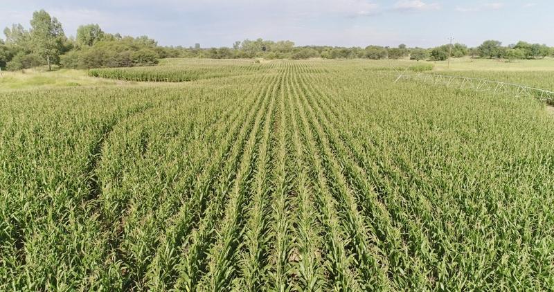 0 Bedroom Property for Sale in Bothaville Free State